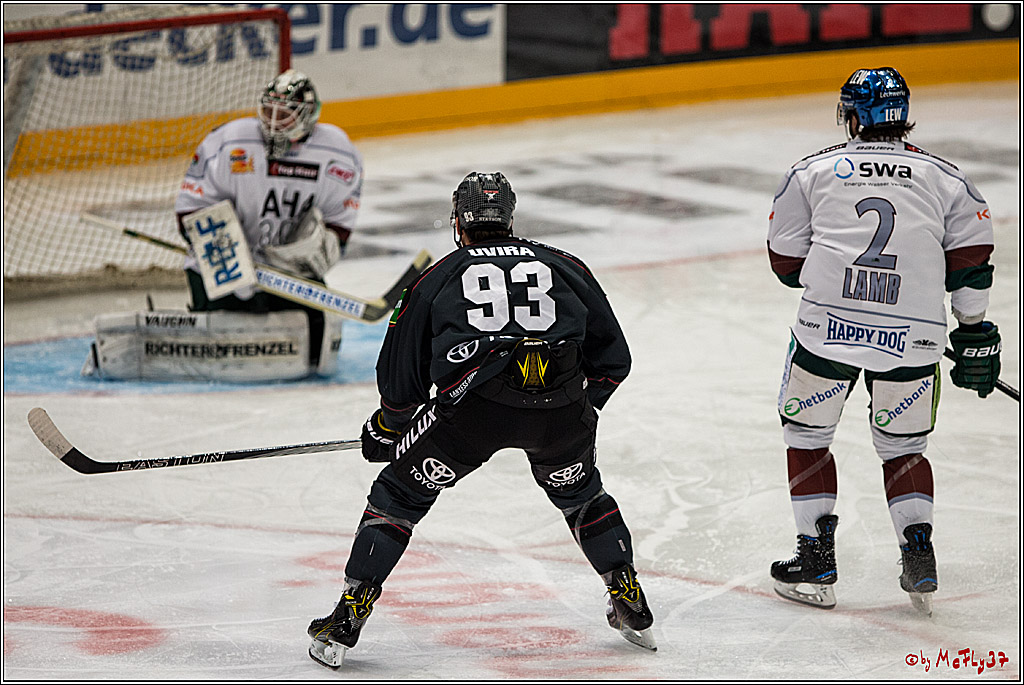 DEL, Koelner Haie - Augsburger Panther, 13.01.2017